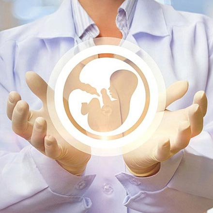 f-fetus