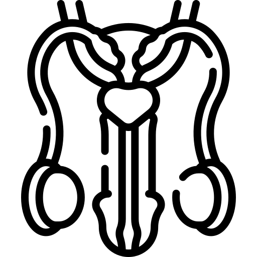 Obstruction-Of-The-Seminiferous-Tubules-Icon