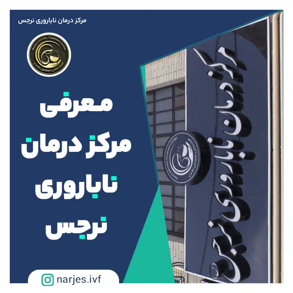 moarefi-cover