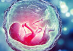 Image-Article4