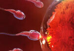 Image-news5